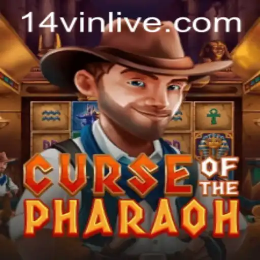 14VIN Jogos de cartas
